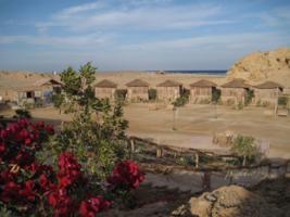 El Quseir - Roots Camp Scuba Divers Centre.